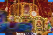米：動物愛護団体「メリーゴーランドは動物搾取の象徴！廃止すべきだ！！」[海外の反応]