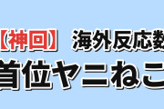 【神回ランキング】海外コメント数TOP7、ヤニねこ第9話が64件で首位