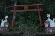 韓国人「人口減少で放置された日本の田舎の神社を見てみよう」