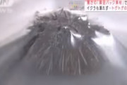 日本の最新真空パック技術、トゲトゲのウニすらパック出来るレベルへ到達！海外の反応