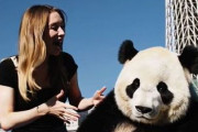 中国人「日本旅行に来たカップルに関する噂話」　中国人「それが恋愛」「日本ありがとう！」
