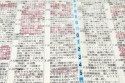 日本人「日本は朝から嫌韓番組ばかりの異常な国」日本のテレビが嫌韓番組に占領されて大変な事に‥ 　韓国の反応