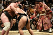 日本のお相撲さんは引退したらどうするの？「日本の相撲が大好きだ」「別の道に進むのもいいじゃない」海外の反応
