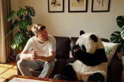 中国人「日本が凄すぎる」　中国人「さすがと言わざるを得ない」「もし中国だったら・・・」