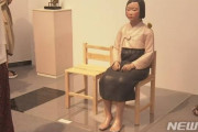 韓国人「日本国民の64%が“慰安婦少女像は芸術品では無い”と回答！日本人の半数以上が慰安婦少女像に否定的な考えを持って居る事が判明！」　韓国の反応