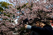 【海外の反応】4月に日本を訪れた外国人は2か月連続で300万人を突破　海外の反応「東京は管理できるが京都のような都市は管理できない」