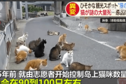 【中国の反応】可愛がらなくてもいい、傷つけるのはやめて！『猫島』毒エサでネコ激減に