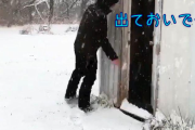 「カモだって冬は寒いようだ…」気持ちはわかる行動