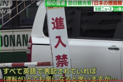 【皮肉】韓国人「そりゃこういう結果になるよね、予想通りだよ」