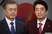 英紙FT「日韓対立の敗者は韓国」「韓国に失われる物が多い」「日本産素材への依存度が高く、貿易戦争では韓国は脆弱」　韓国の反応