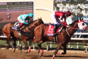 海外の反応     日本のフォーエバーヤング、アメリカ最高峰のレースで3着！【ブリーダーズカップクラシック】