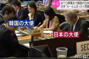 韓国「経済報復」日本「正常措置」…WTOで激論、両者一歩も引かず＝韓国の反応