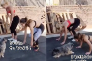 インストラクターは犬。犬先生によるエクササイズ指導。さあ先生を良くみて～！
