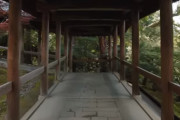 緑溢れるシーズンの東福寺を散策 する映像が海外で反響