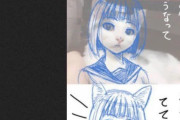 海外「アニメキャラクターは白人ではなく猫を元にしている」