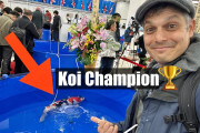 外国人「日本の一番カッコいい魚、なんだか知っとる？」