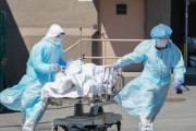 韓国人「米国の新型コロナ感染者数の増加速度のすごさが一目で分かるグラフを見てみよう」