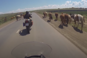 海外「自分もこういう旅をしてみたい！」バイクで世界一周した日本人の映像を見た海外の反応