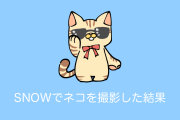 日本人が「ただでさえ可愛いネコ」をSNOWのスタンプでさらに可愛くした結果！【台湾人の反応】