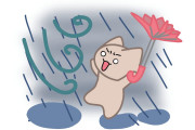 日本人「台風の日にタント乗るのマジで怖い！」【タイ人の反応】