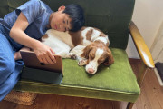 【海外】「犬を飼うことでティーンエイジャーのメンタルヘルスが向上！腸内マイクロバイオームの変化がカギ？」