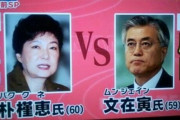 「韓国は泥棒だ」vs「天皇が謝るべき」韓国人「反日を煽る政界、日韓関係が悪循環の泥沼に陥った背景は支持層結集など国内政治に利用していると指摘」　韓国の反応
