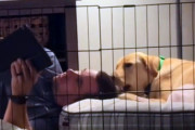 愛犬がソファに座れないなら、自分も使わない。寄り添い続けた男性の深い愛情に感動