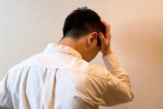 韓国人「これを見ると韓国人であることが恥ずかしくなる」