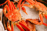 【海外】寒冷海域で育つ高タンパク質の贅沢食材、ズワイガニに魅せられて