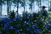 外国人「ゴーストオブツシマってもう侍スナップだよな」フォトモードが海外で大ウケ