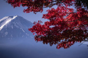 海外「すごく綺麗！」河口湖から紅葉越しに眺める富士山が美しすぎる件