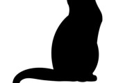 「どうも隣の猫に嫌われてる気がするんだけど…これを見てどう思う？」