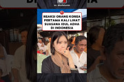 海外「ヤギが韓国語を理解してるの気づいた？」インドネシアのイード・アル=アドハー祭りを初めて見た韓国人女性の反応