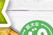日本のピクルスピザに世界が騒然！←「まずは食べてみよう」（海外の反応）