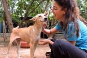自転車に轢かれ、何もできずに下水道で助けを待つ犬。保護されて回復した時の笑顔にほっこり