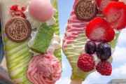 外国人が京都の羽子板アイスを絶賛「美しすぎて食べられないよ」