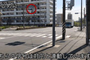 当然のパトカー取り締り！清々しいまでの怒涛の信号無視5連発