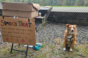 【海外】「虹の橋を渡る前に、犬が大切な友達と愛すべきおやつを分け合う感動ストーリー」
