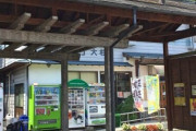 14世紀から続く『大杉』の剪定方法　その芸術的な姿について　海外の反応