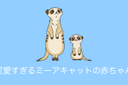 日本の公園の「ミーアキャットの赤ちゃん」が照れ屋さんで可愛すぎる！【台湾人の反応】
