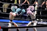 【海外】「怖すぎるw」中国で開催された世界初の人型ロボットのキックボクシング試合に海外戦慄！