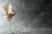 スペイン人アーティスト「動物の折り紙を作品として発表してみる！」