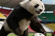 中国人「サッカー日本代表FWがケガ。長期離脱の可能性も」　中国人「いつも主力がケガをする」「案を3つ示す」