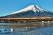 【韓国の反応】「富士山爆発から3時間で東京は麻痺」日本、避難計画を全面改正。韓国の反応「日本が反省するまで爆発し続けろ。/日本は罪の代価を払え。」