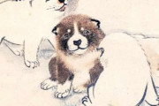 韓国人「江戸時代に描かれた『子犬』の絵をご覧ください‥」→「江戸時代の画家さんの腕がいいね」　韓国の反応