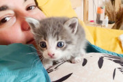 【海外】ホステルで見つけた小さな子猫、運命の出会いから始まった旅！柔らかな絆を育んだメリーサとミラグロの冒険とは？