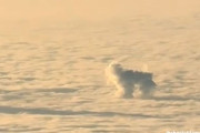 愛犬を失った女性、空の旅で予期せぬ再会に涙。雲になって会いに来てくれた！