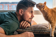 【海外】猫が頭をぶつける理由とは？愛猫があなたに伝えたいことを深掘り！