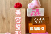 韓国人「韓国女と日本女の整形を比較してみよう」