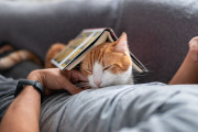 【海外】猫が私の上で寝る理由とは？その可愛さの裏に隠された秘密とは！